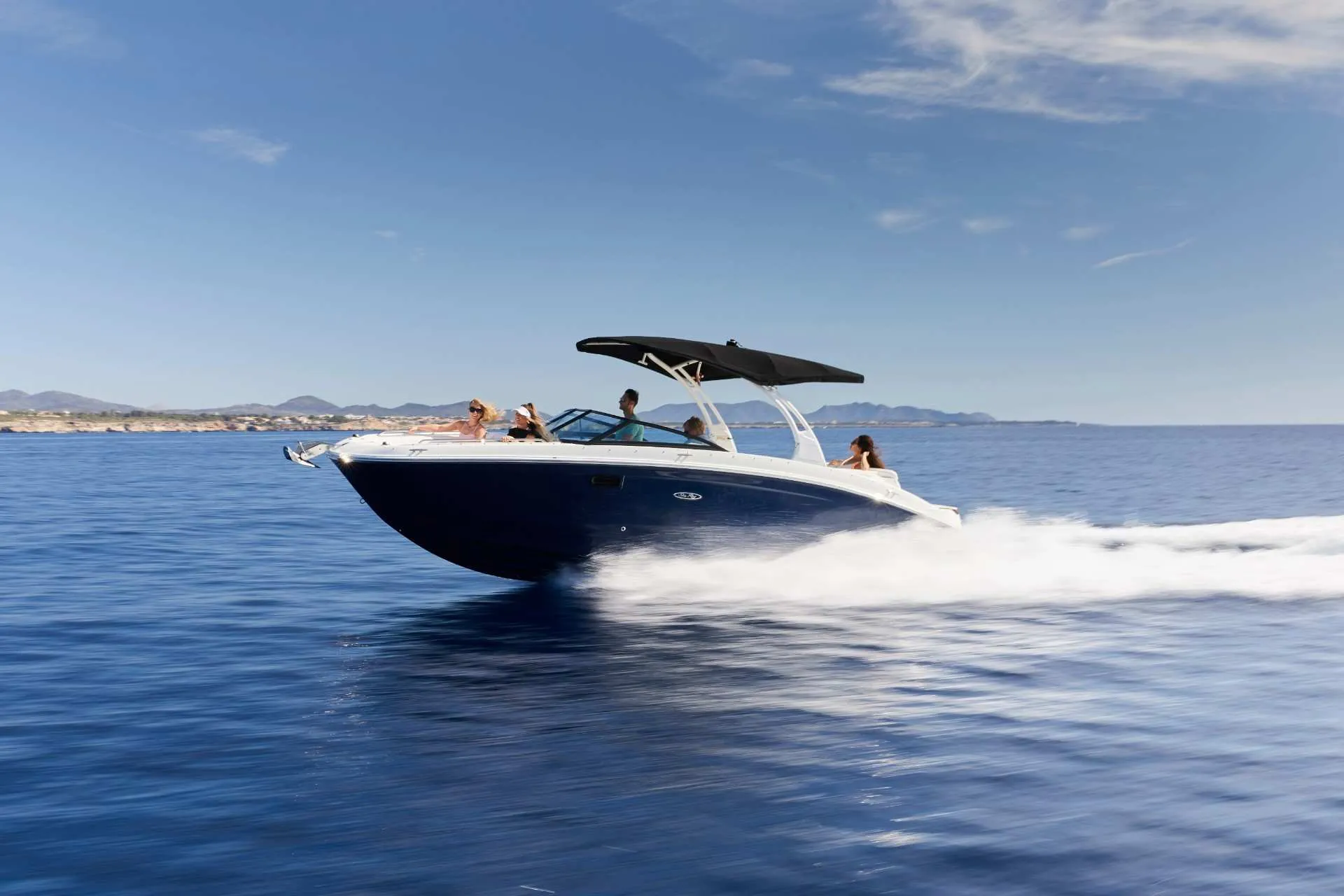 Sea Ray SDX 270